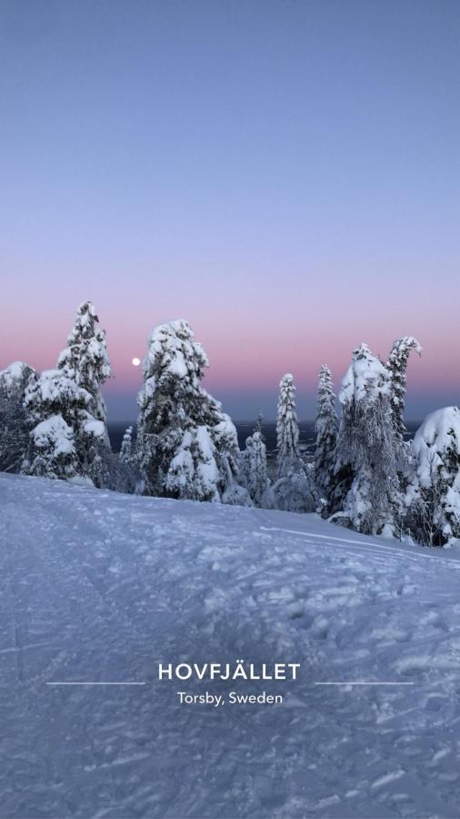 Trevlig Stuga Naera Hovfjaellet Torsby Exterior photo